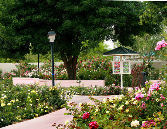 Rose Garden at Mesa Community College